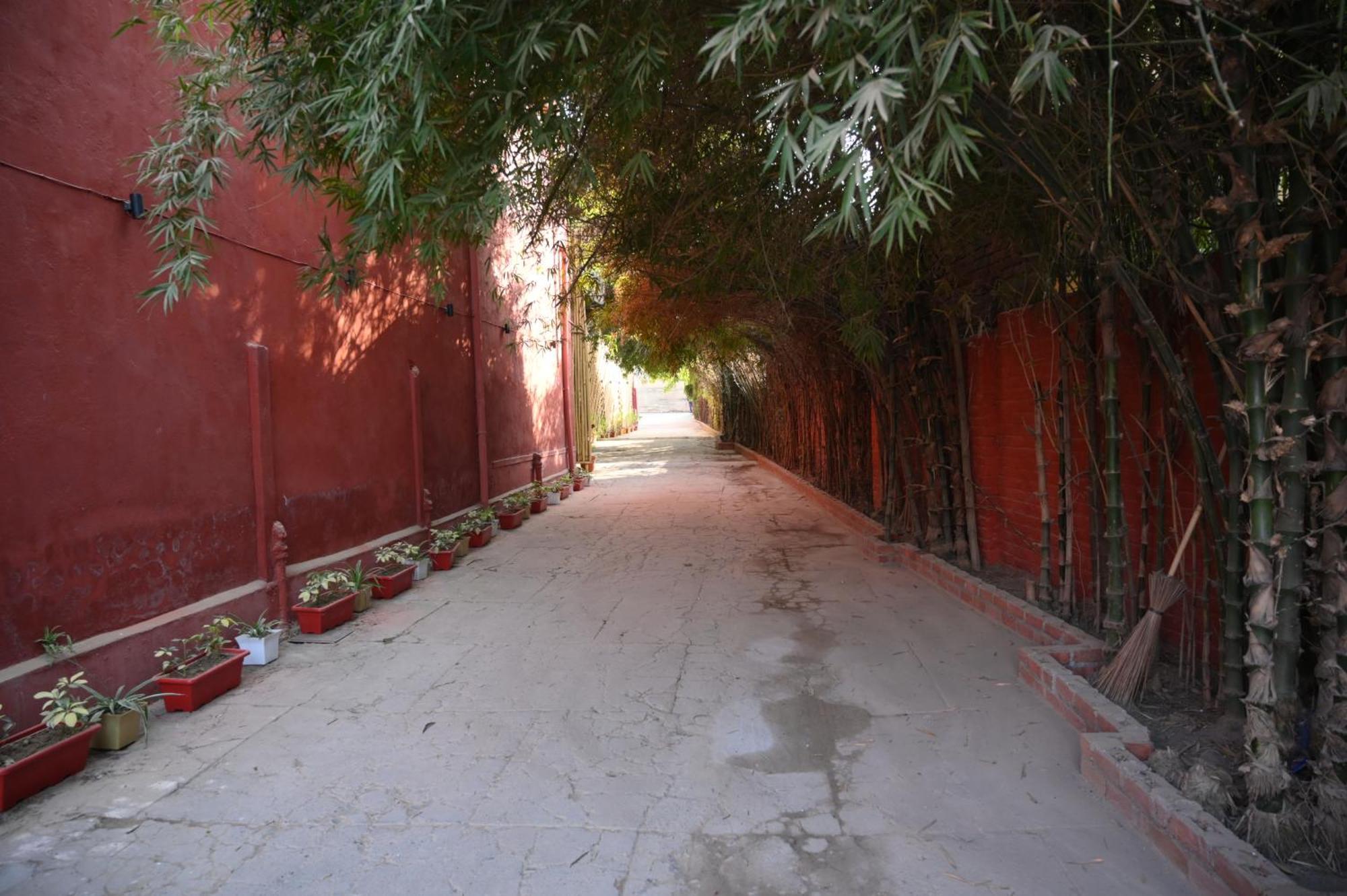 Raja Ka Bagh - A Boutique Hotel Nurpur ภายนอก รูปภาพ
